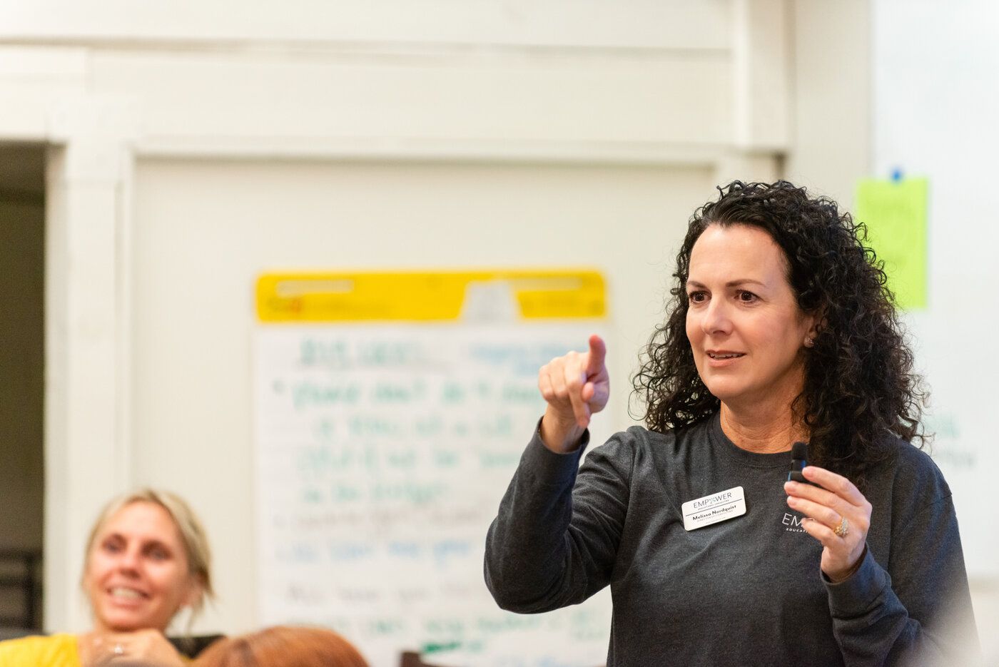 Literacy wiritng professional development